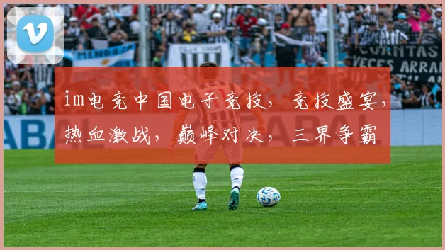 im电竞中国电子竞技，竞技盛宴，热血激战，巅峰对决，三界争霸