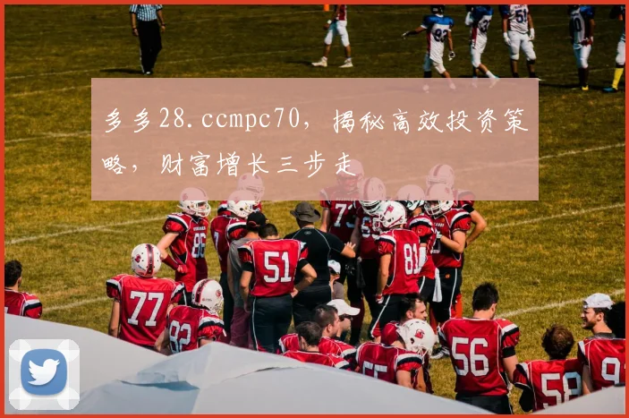 多多28.ccmpc70，揭秘高效投资策略，财富增长三步走