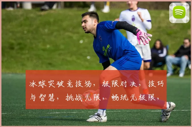 冰球突破竞技场，极限对决，技巧与智慧，挑战无限，畅玩无极限，体验非凡冰球游戏乐趣