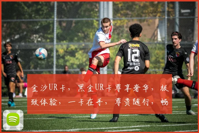 金沙UR卡，黑金UR卡尊享奢华，极致体验，一卡在手，尊贵随行，畅享无限