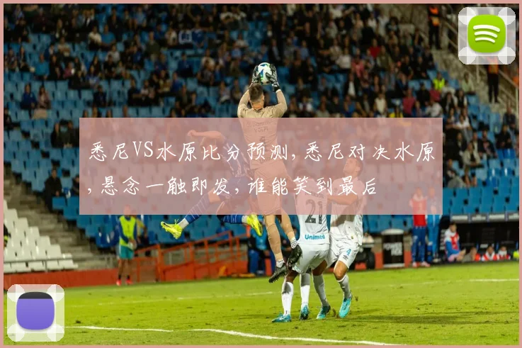 悉尼VS水原比分预测,悉尼对决水原,悬念一触即发,谁能笑到最后